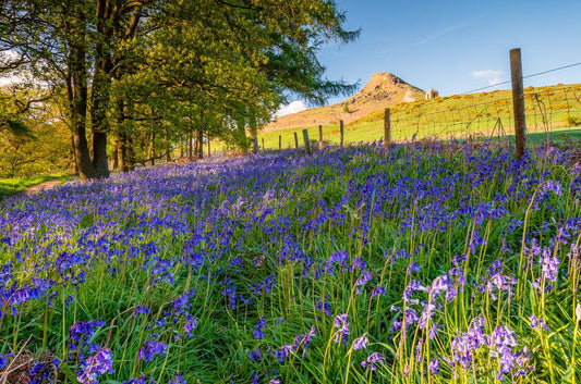 Places To Visit in Yorkshire - A Map of Chuffin’ Everything - Millstones & Moor